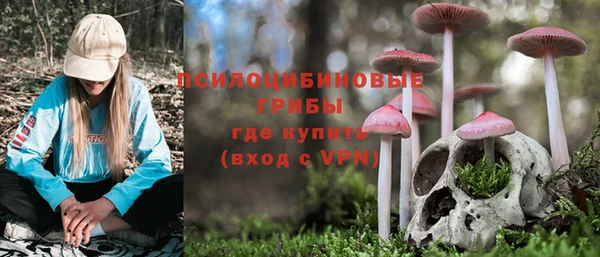 ALPHA PVP Анива